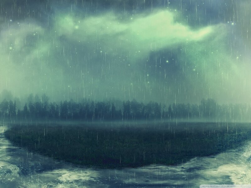 Rainy forest landscape