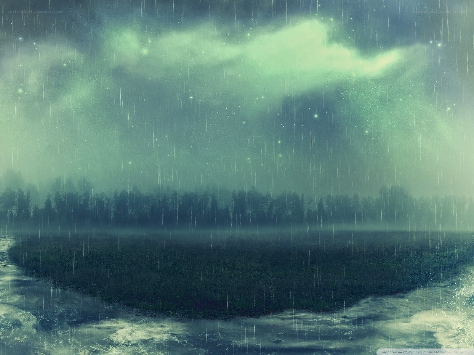 Rainy forest landscape