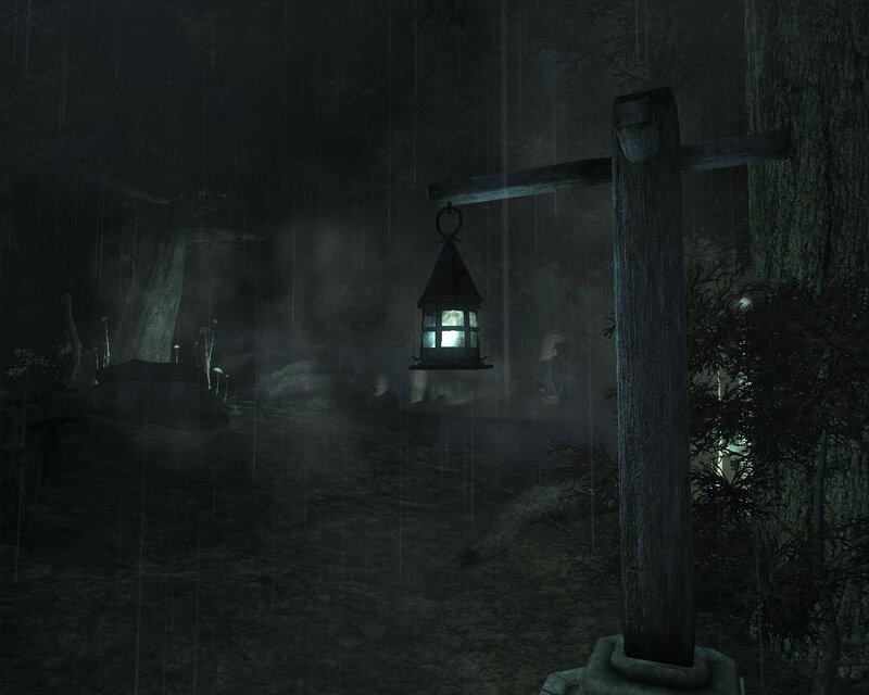 rainy forest lantern