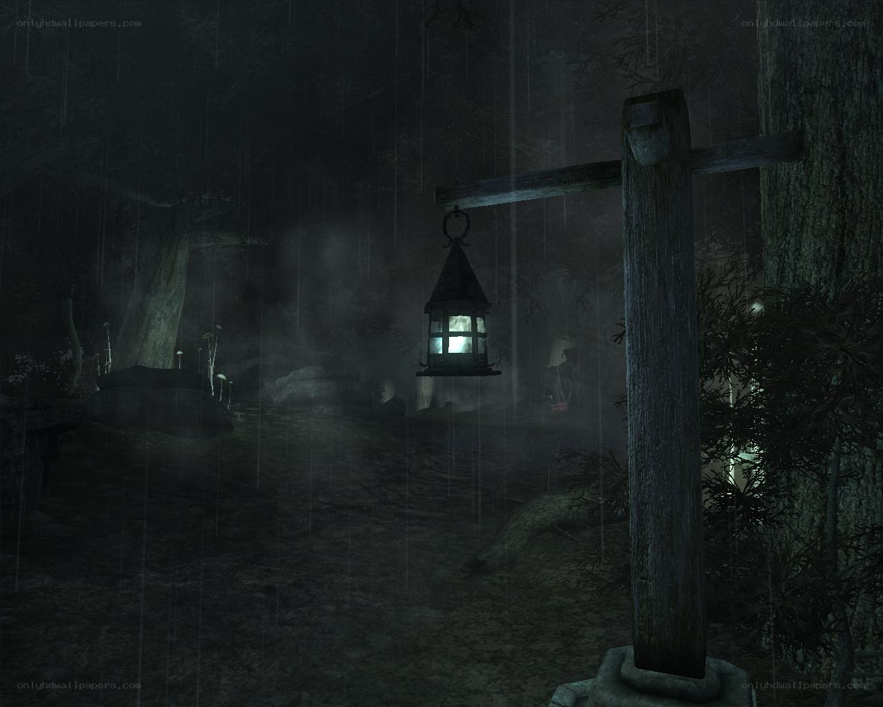 rainy forest lantern