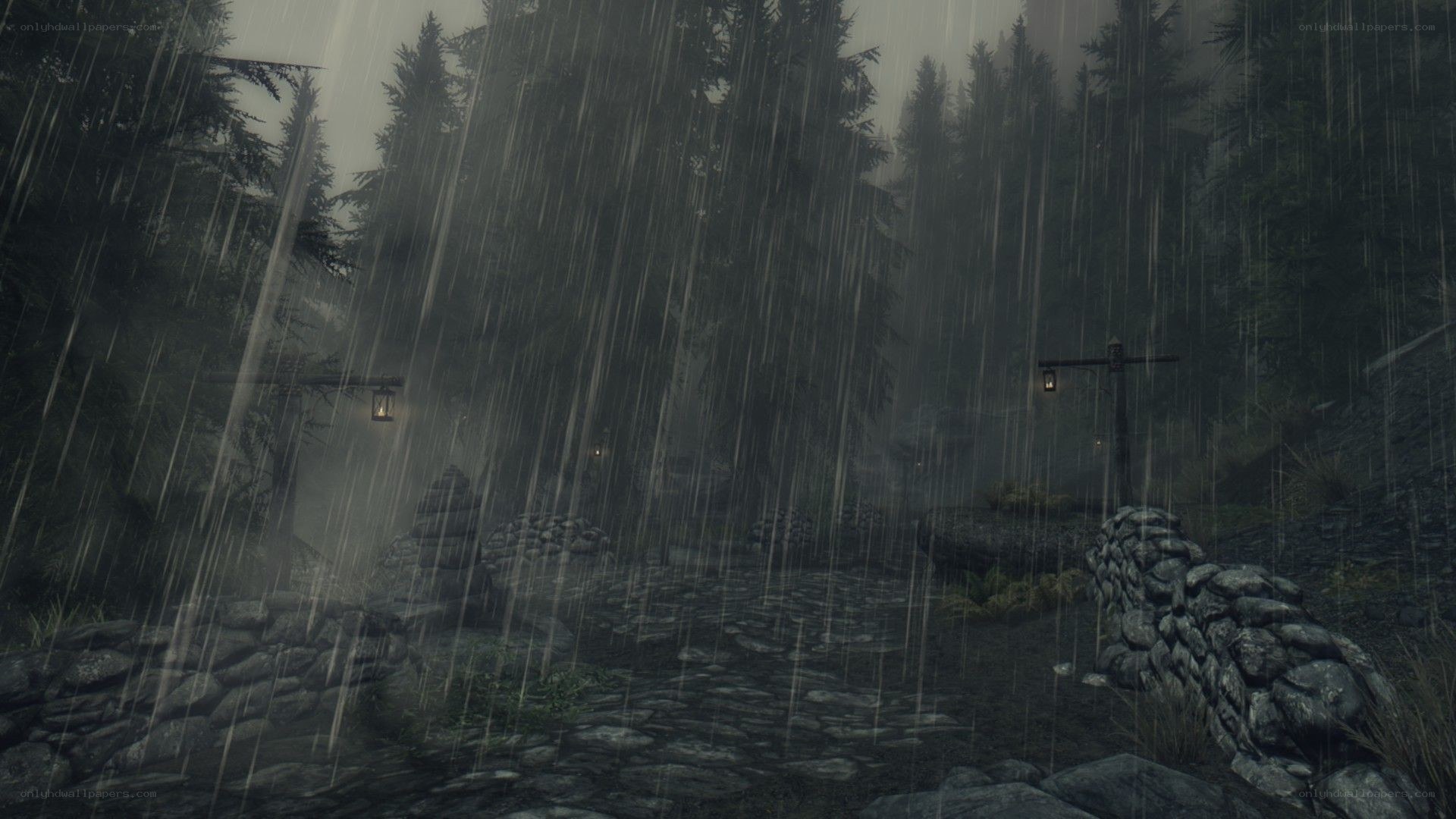 rainy forest path at night