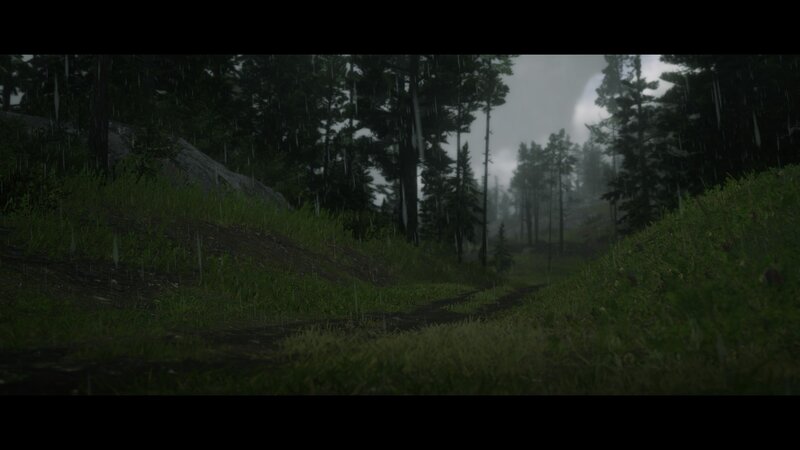Rainy Forest Path — Green, Dreary