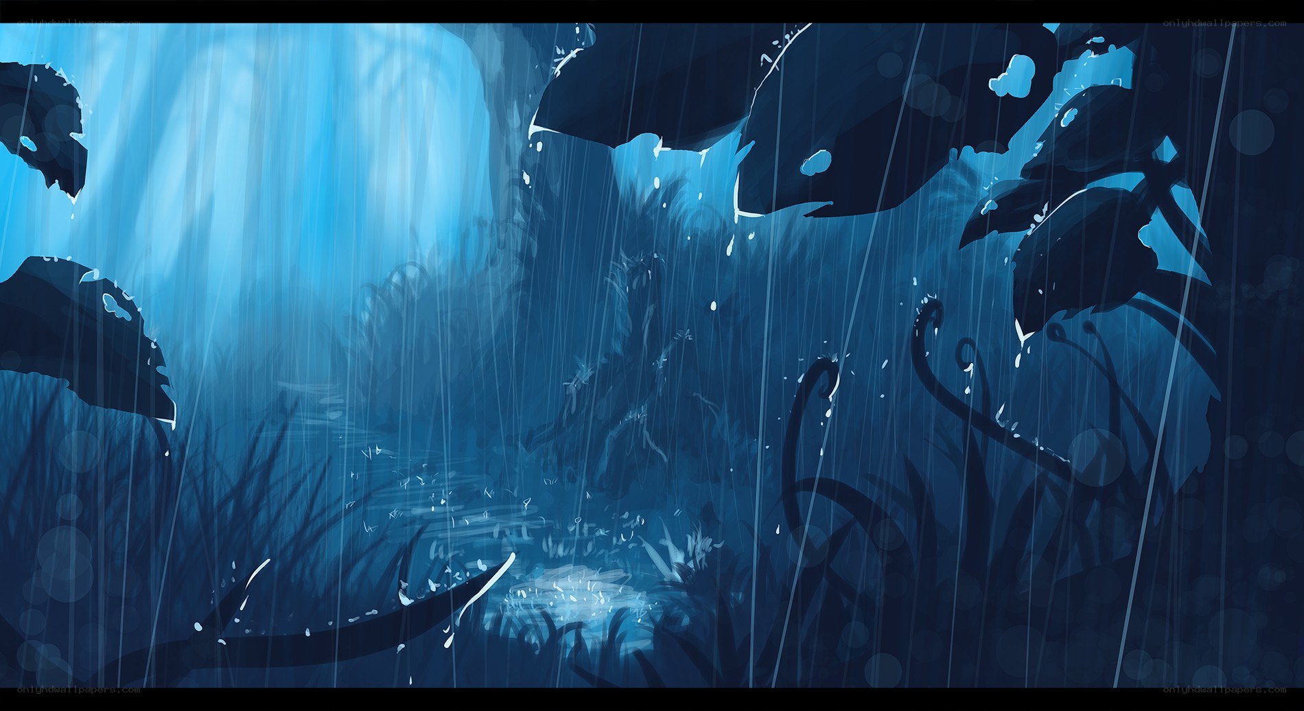 rainy forest scene