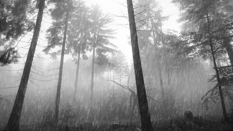 Rainy Forest Scene — Black