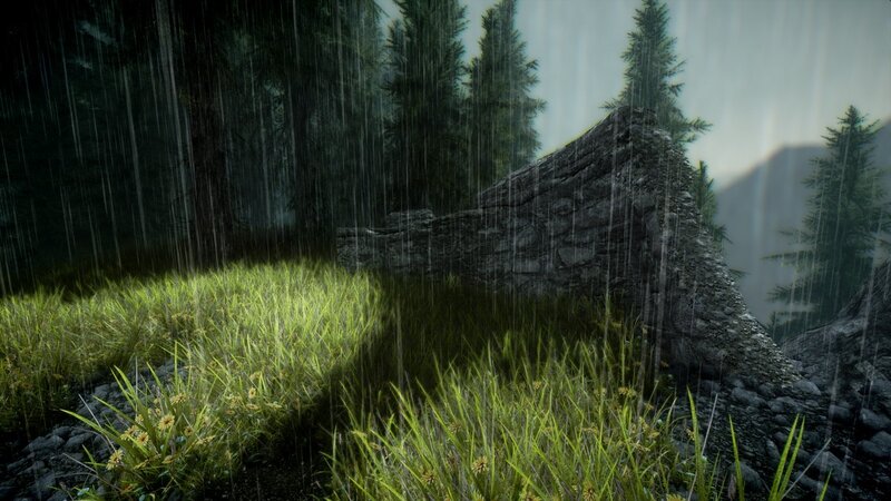 Rainy forest scene