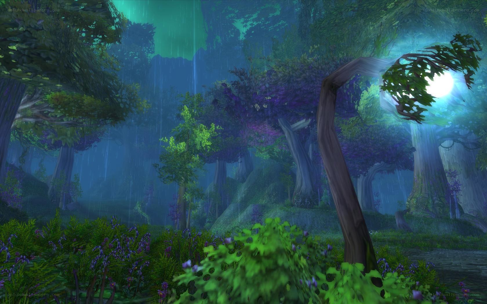 rainy forest with glowing light
