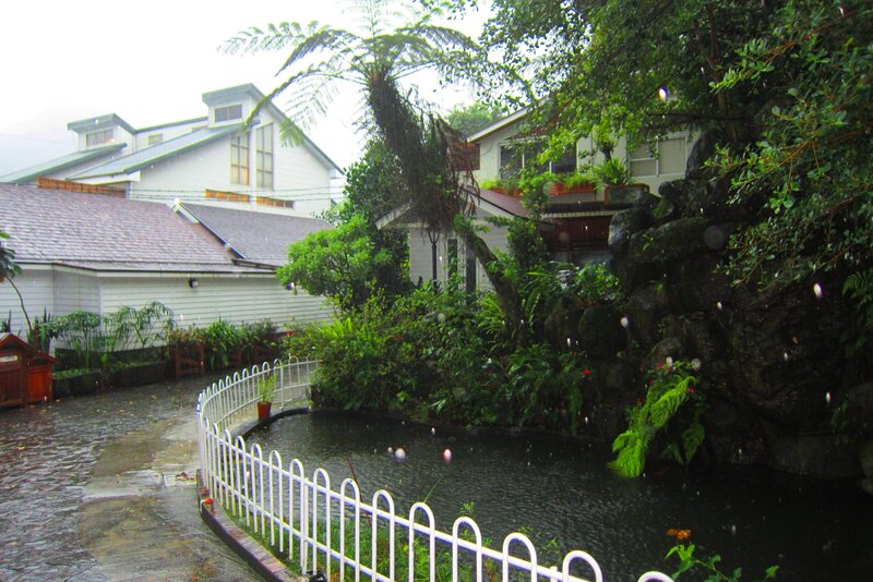 Rainy Garden Pond