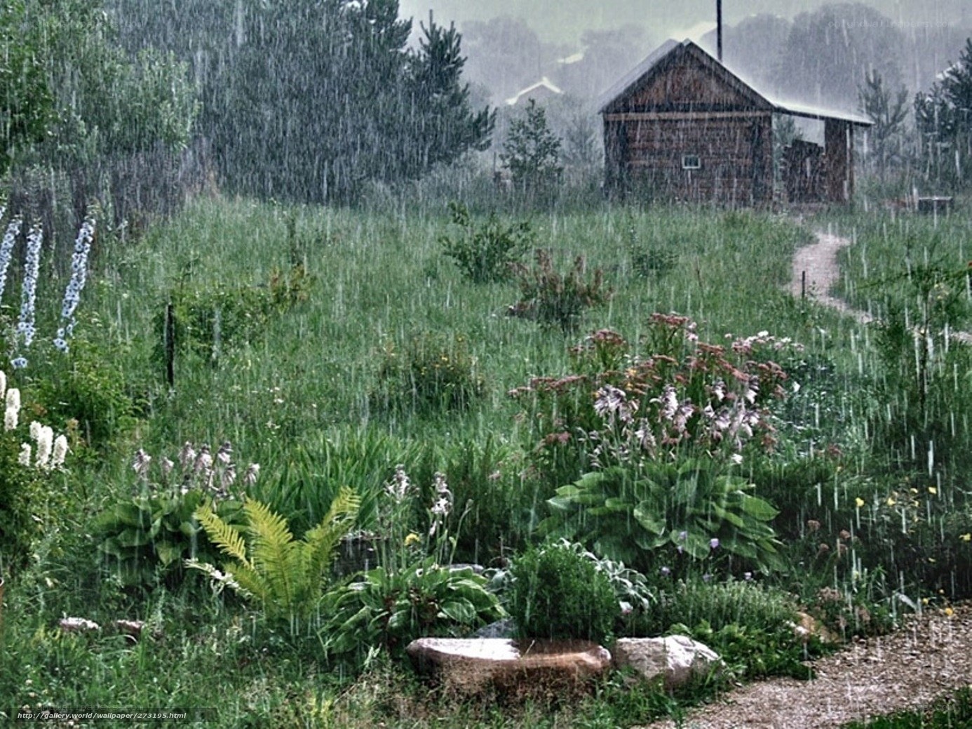 Rainy garden with cabin