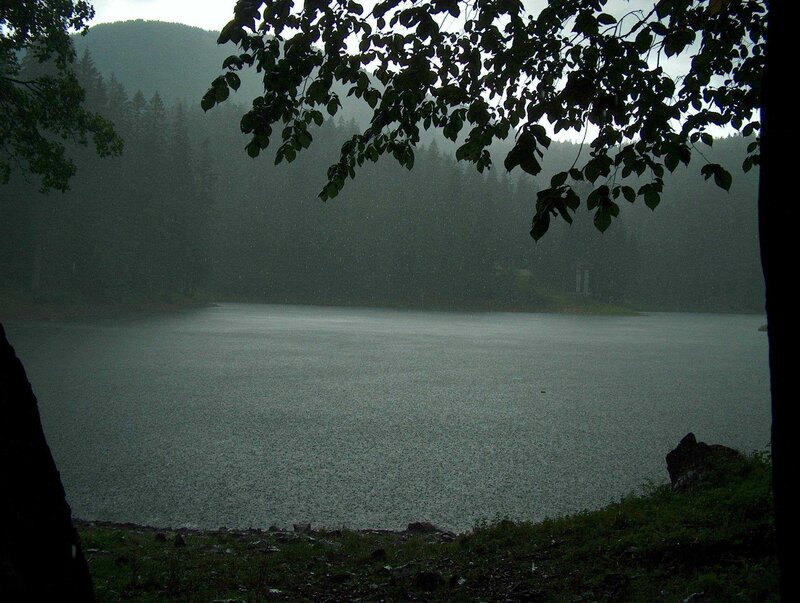 Rainy lake in forest