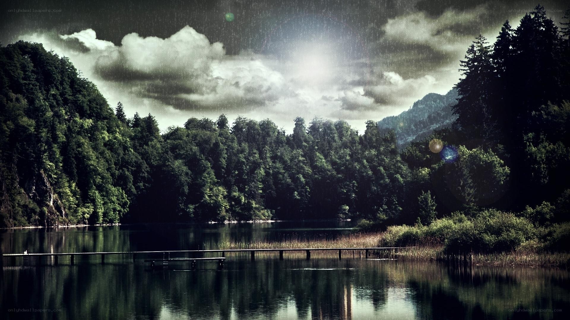 Rainy lake with forest