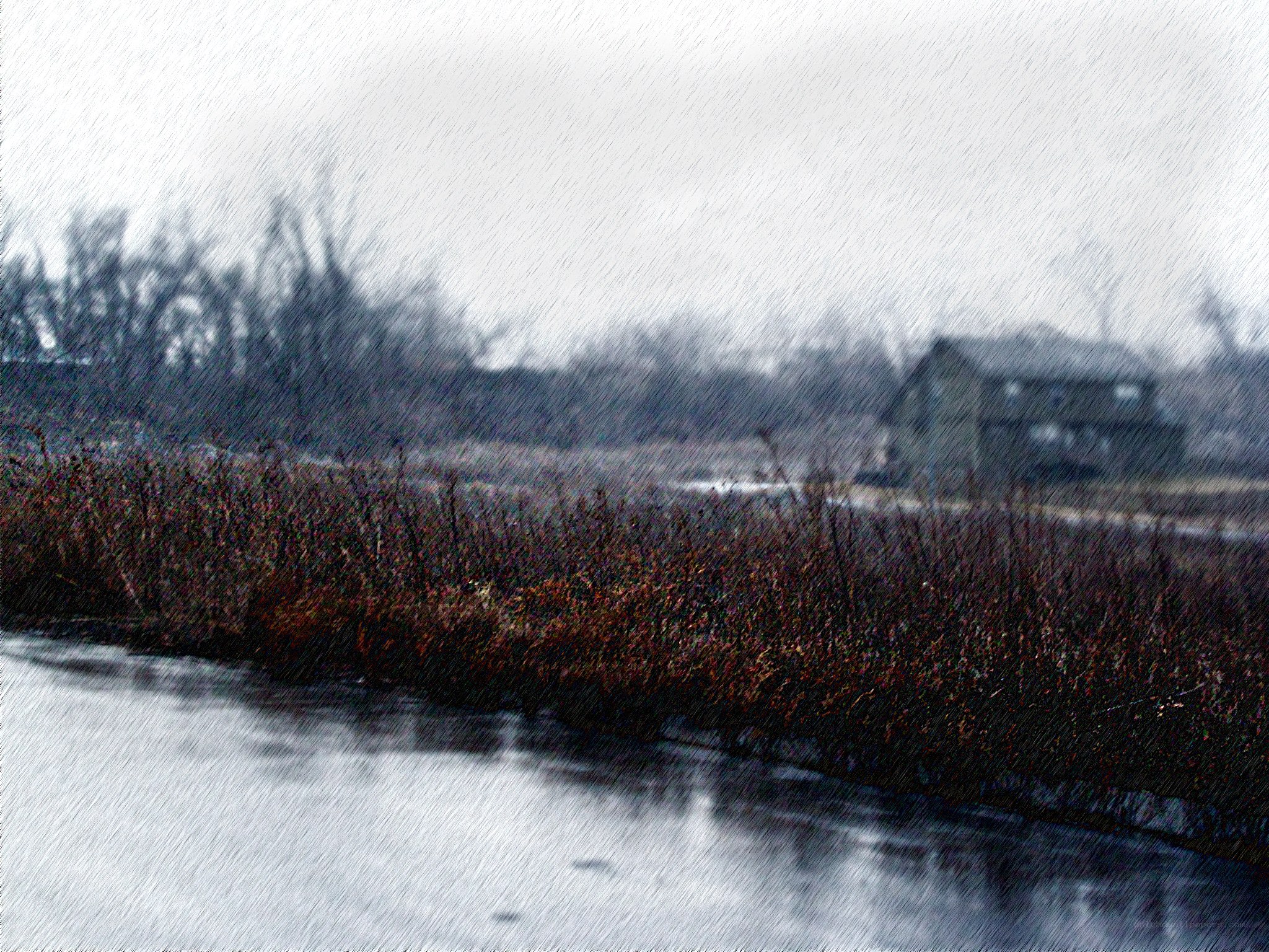 rainy landscape with house