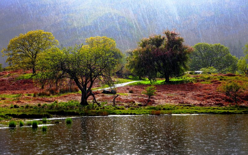 Rainy Landscape with Pond