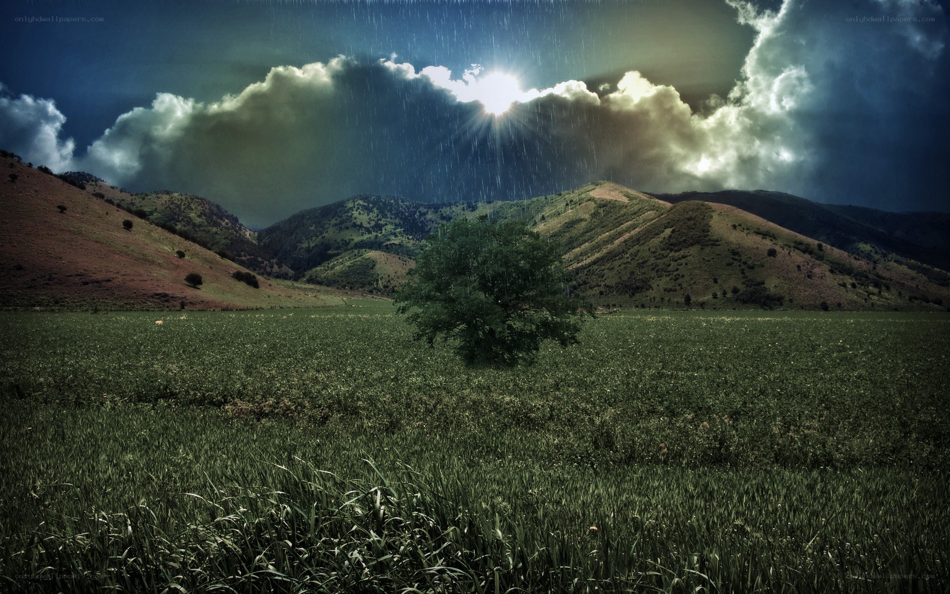 Rainy landscape with sunburst