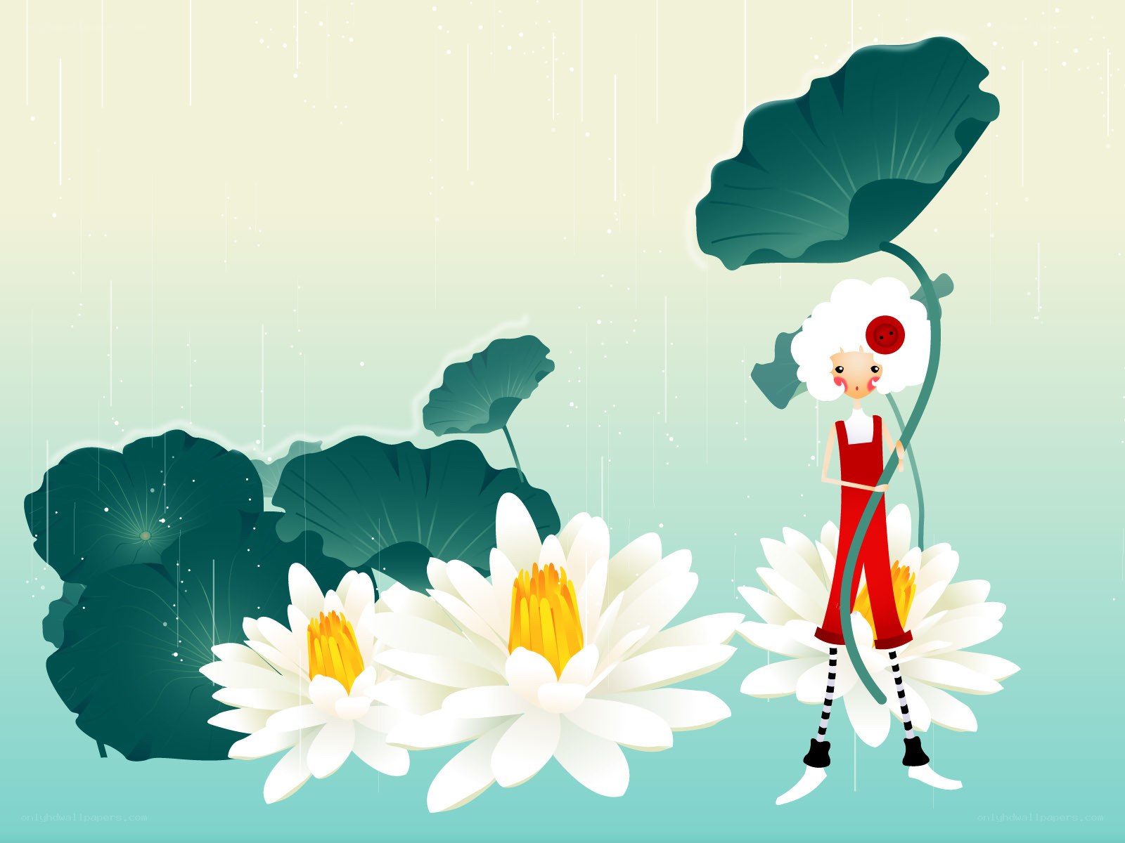 Rainy lotus flower scene