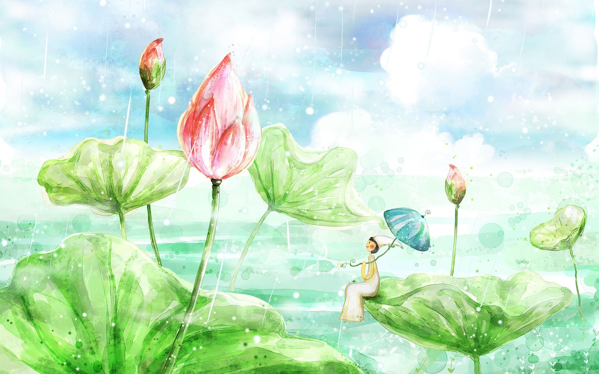 Rainy lotus pond scene