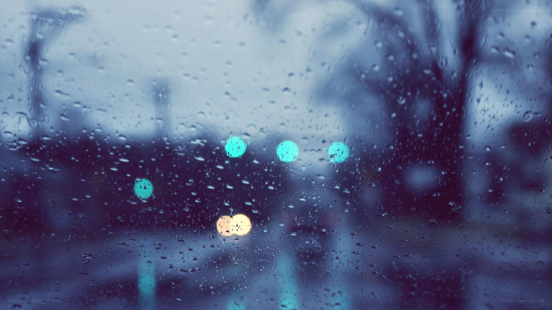 Rainy night city lights