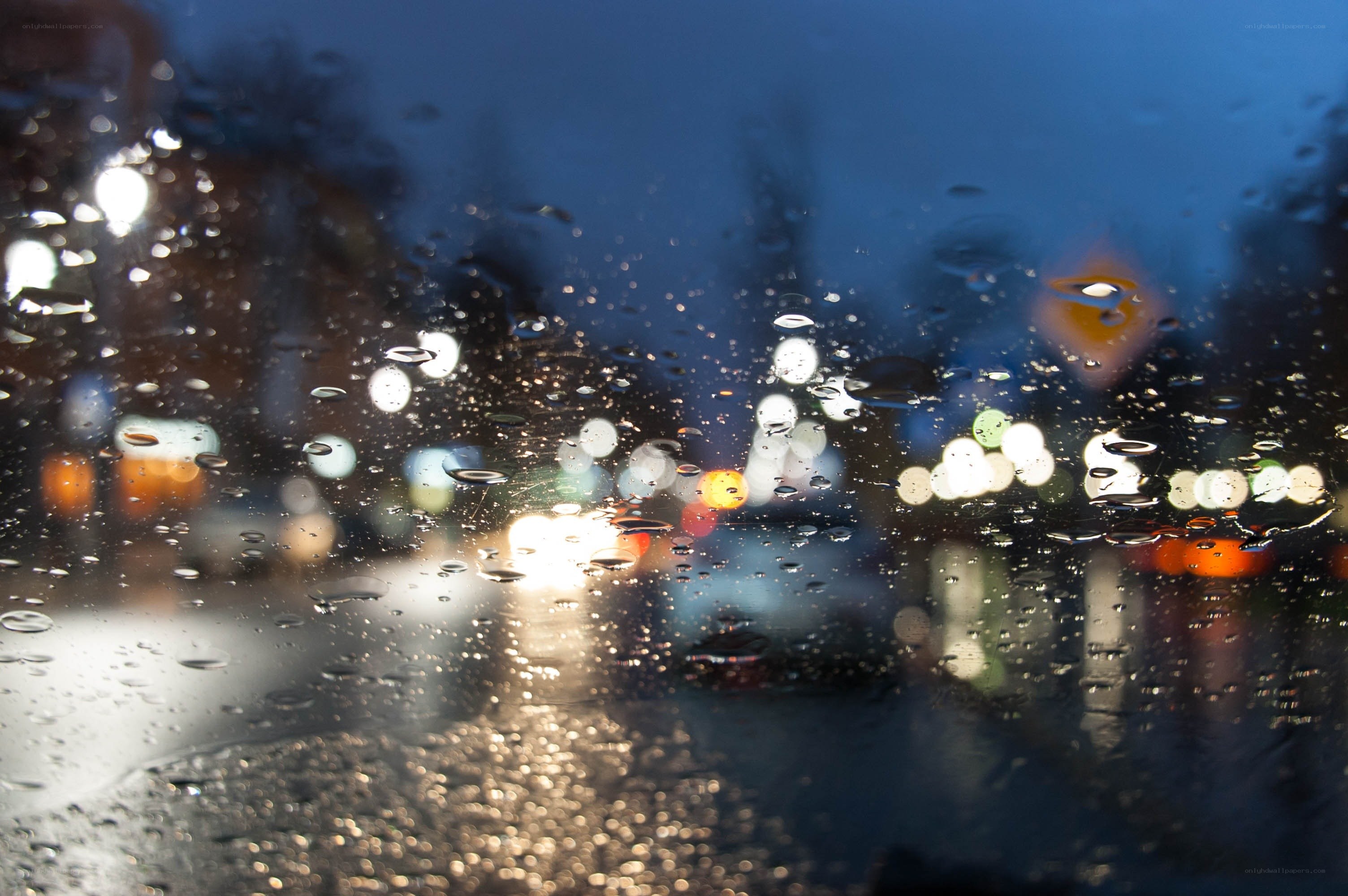 rainy night city lights