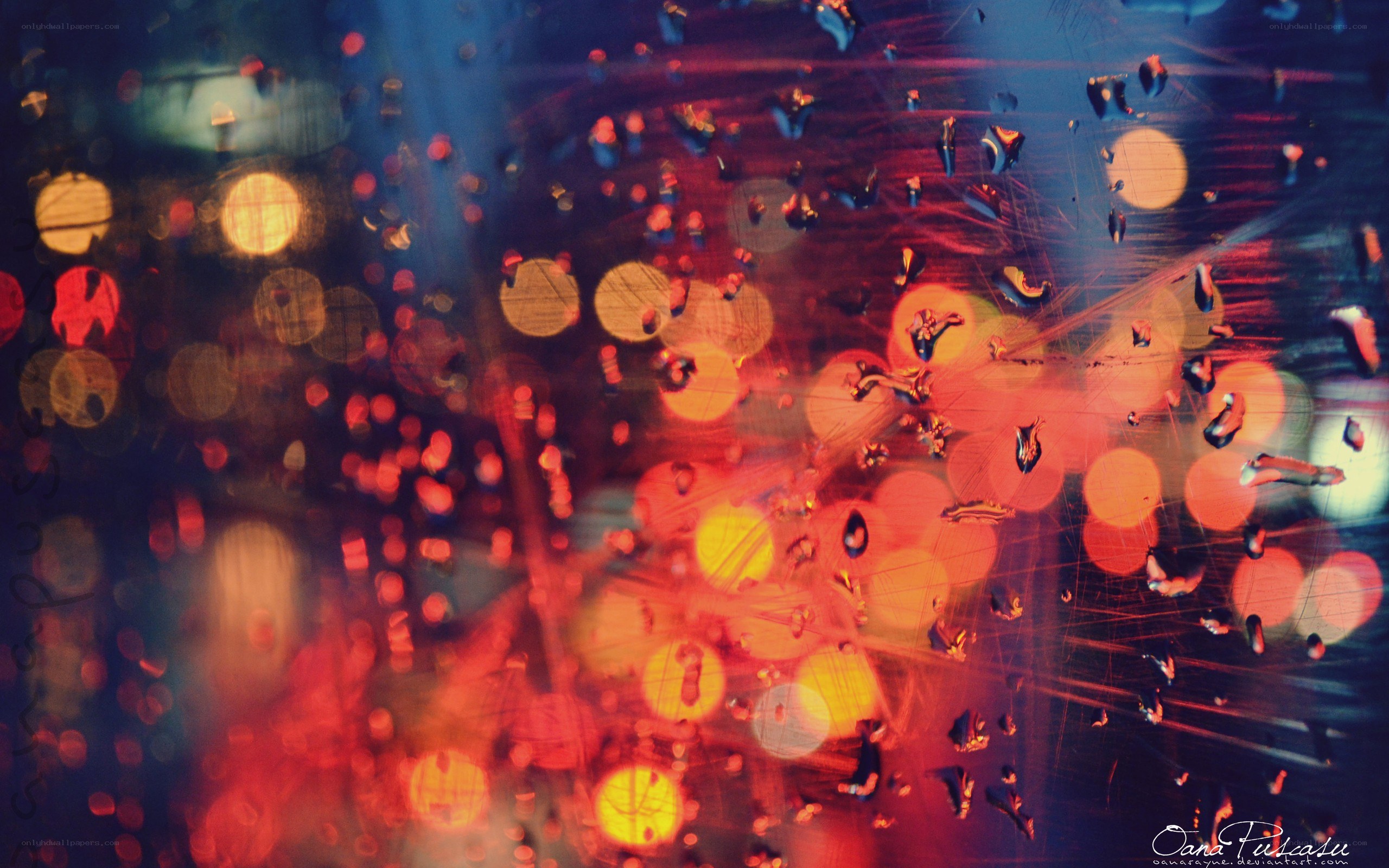 rainy night city lights