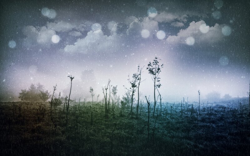 Rainy night in a misty field