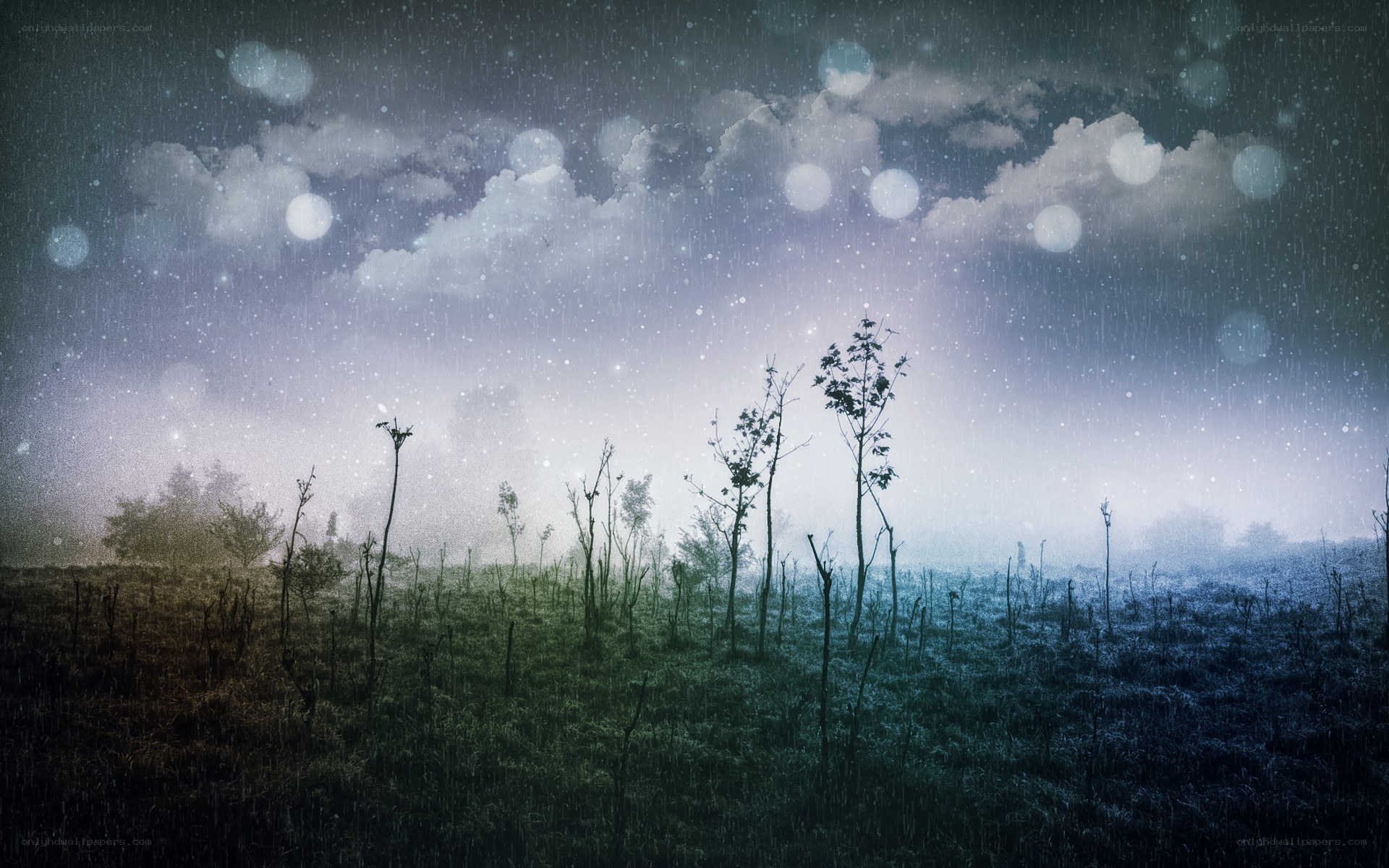 Rainy night in a misty field