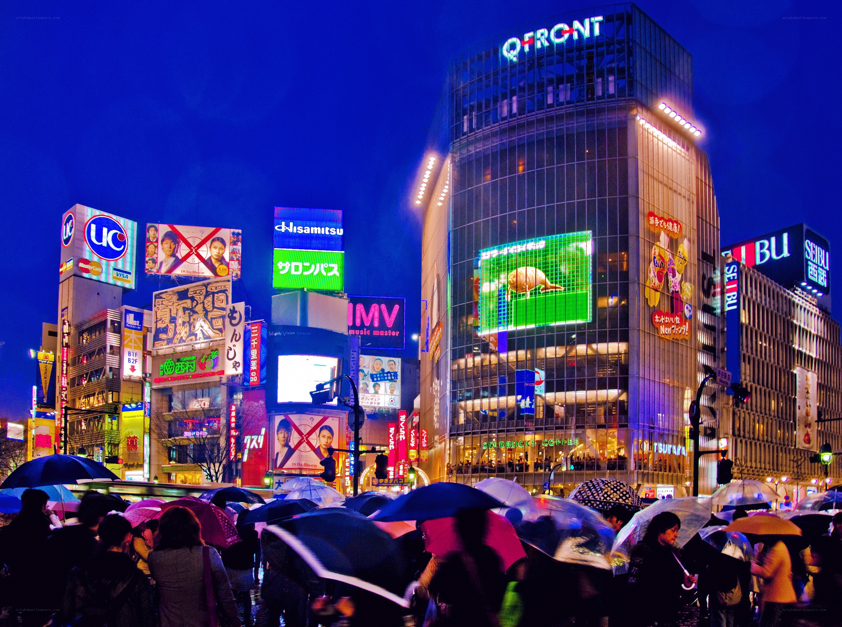Rainy night in Shibuya