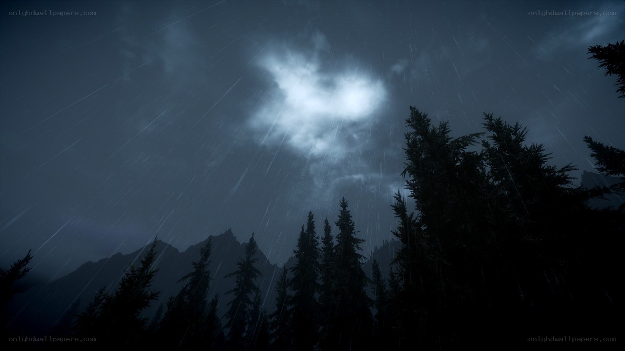 Rainy night in the forest