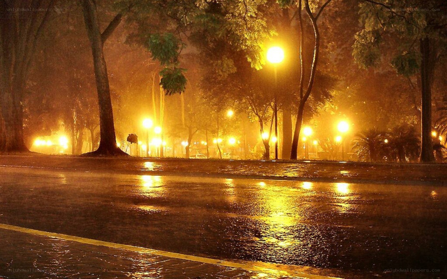 Rainy night in the park