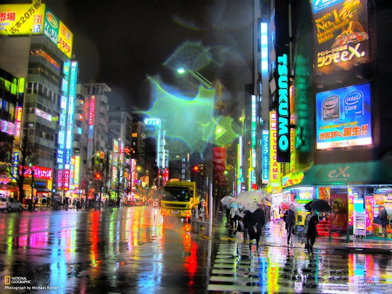 Rainy night in Tokyo's neon district