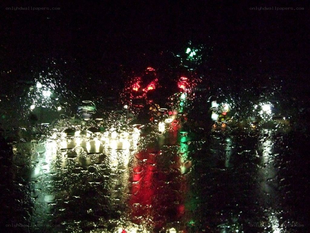 rainy night lights