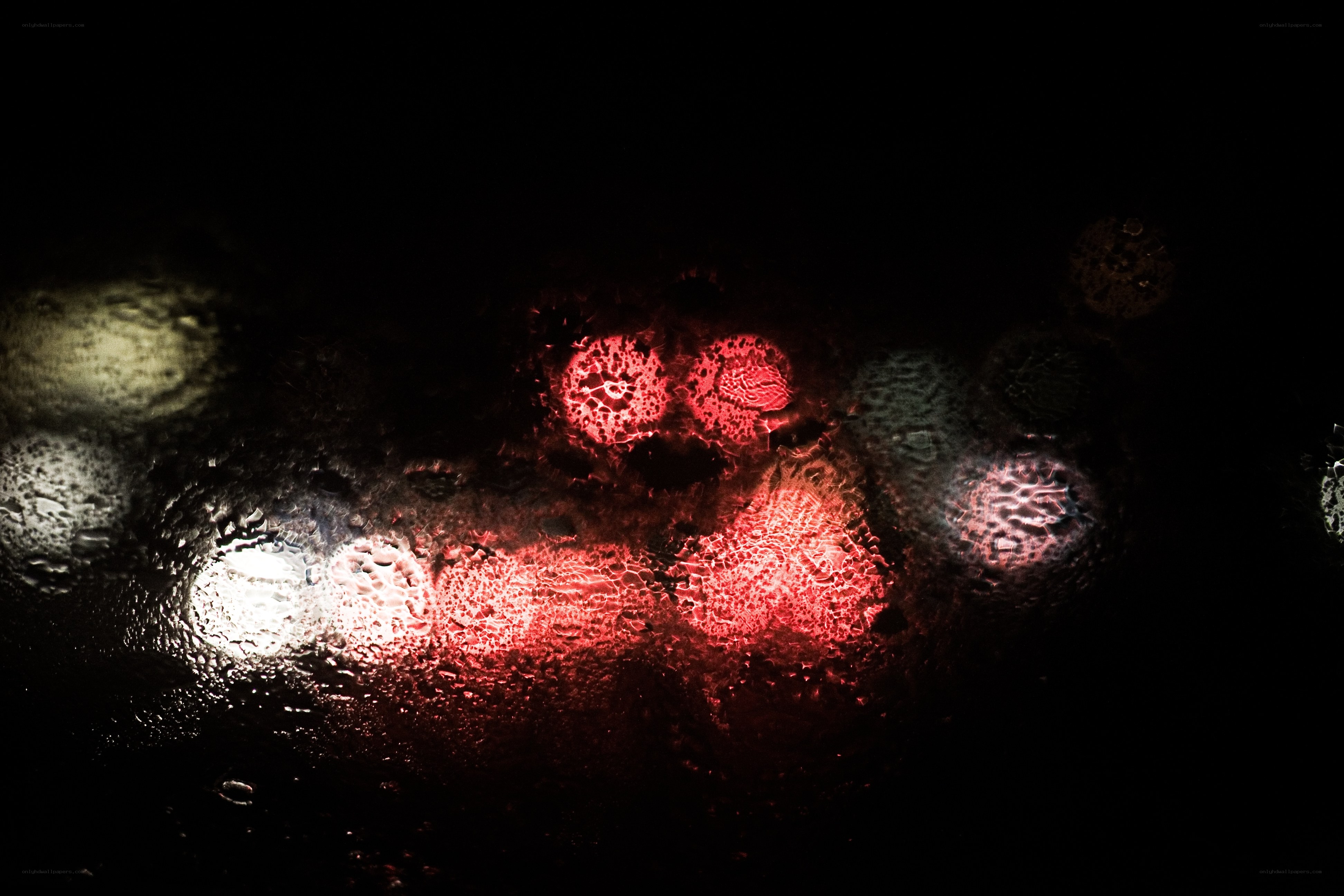 rainy night lights