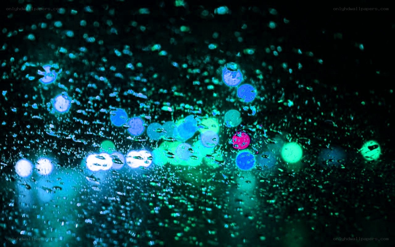 rainy night lights