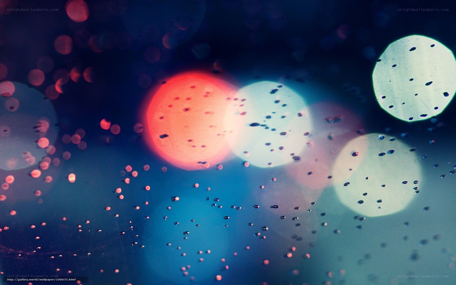 rainy night lights