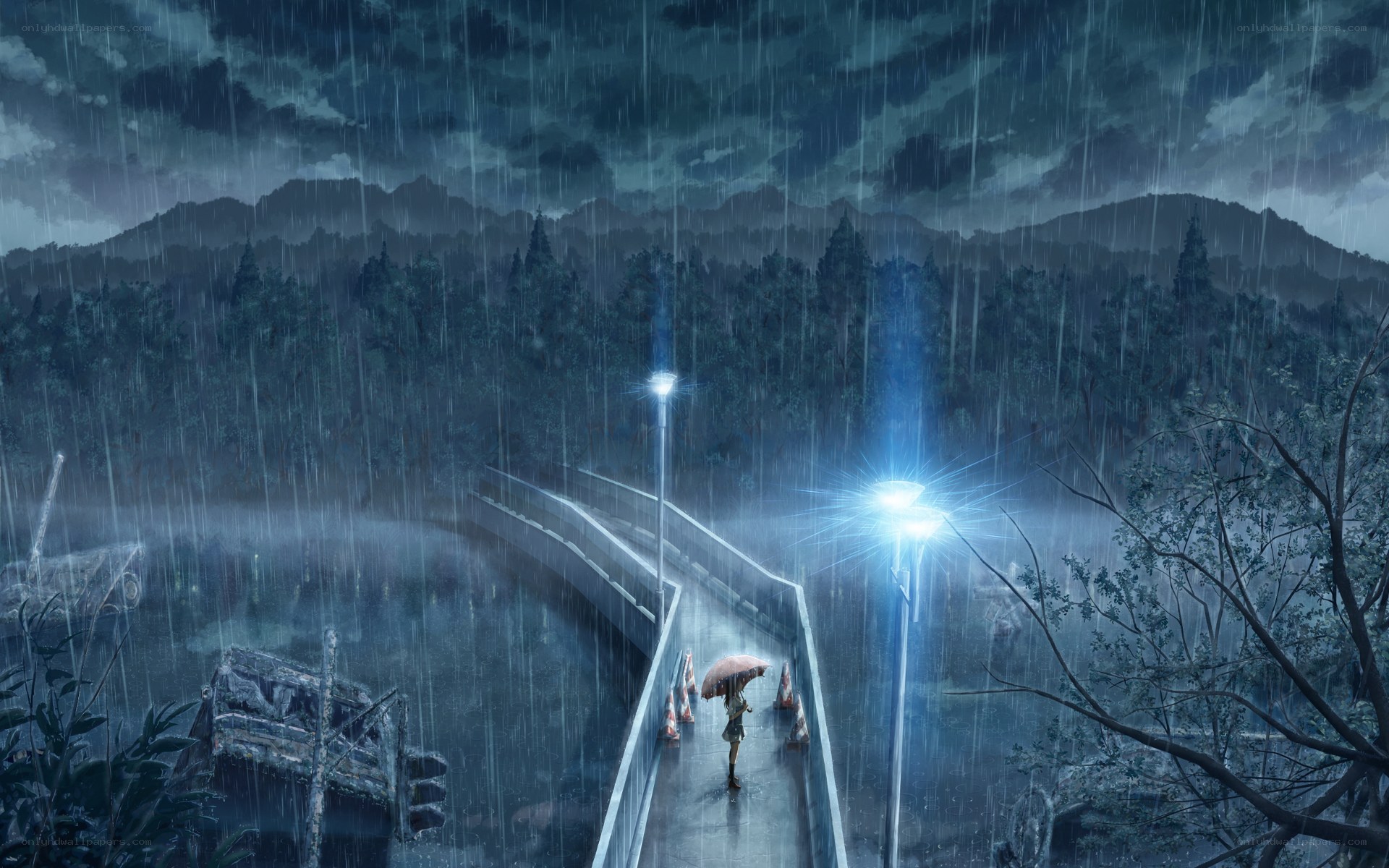 Rainy night on a bridge