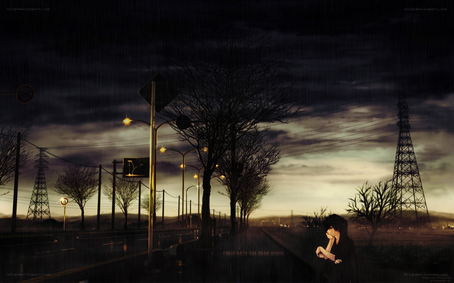Rainy night on a quiet road