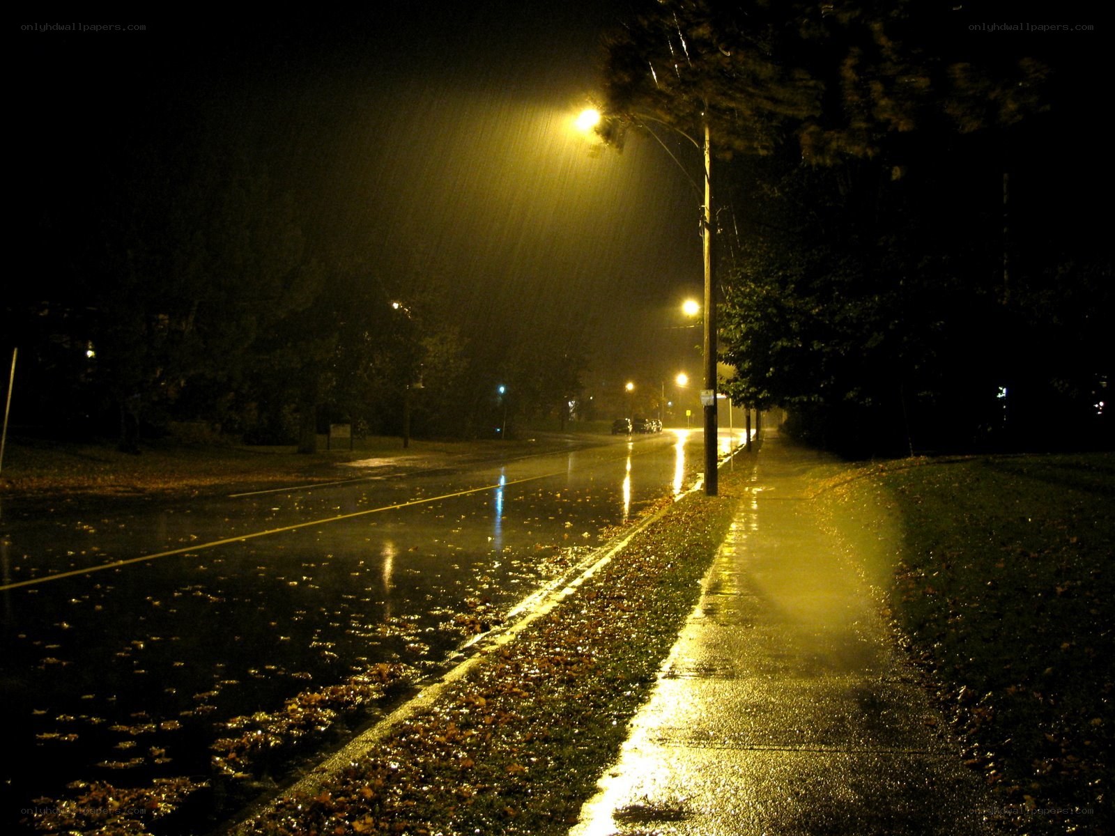 Rainy night street scene