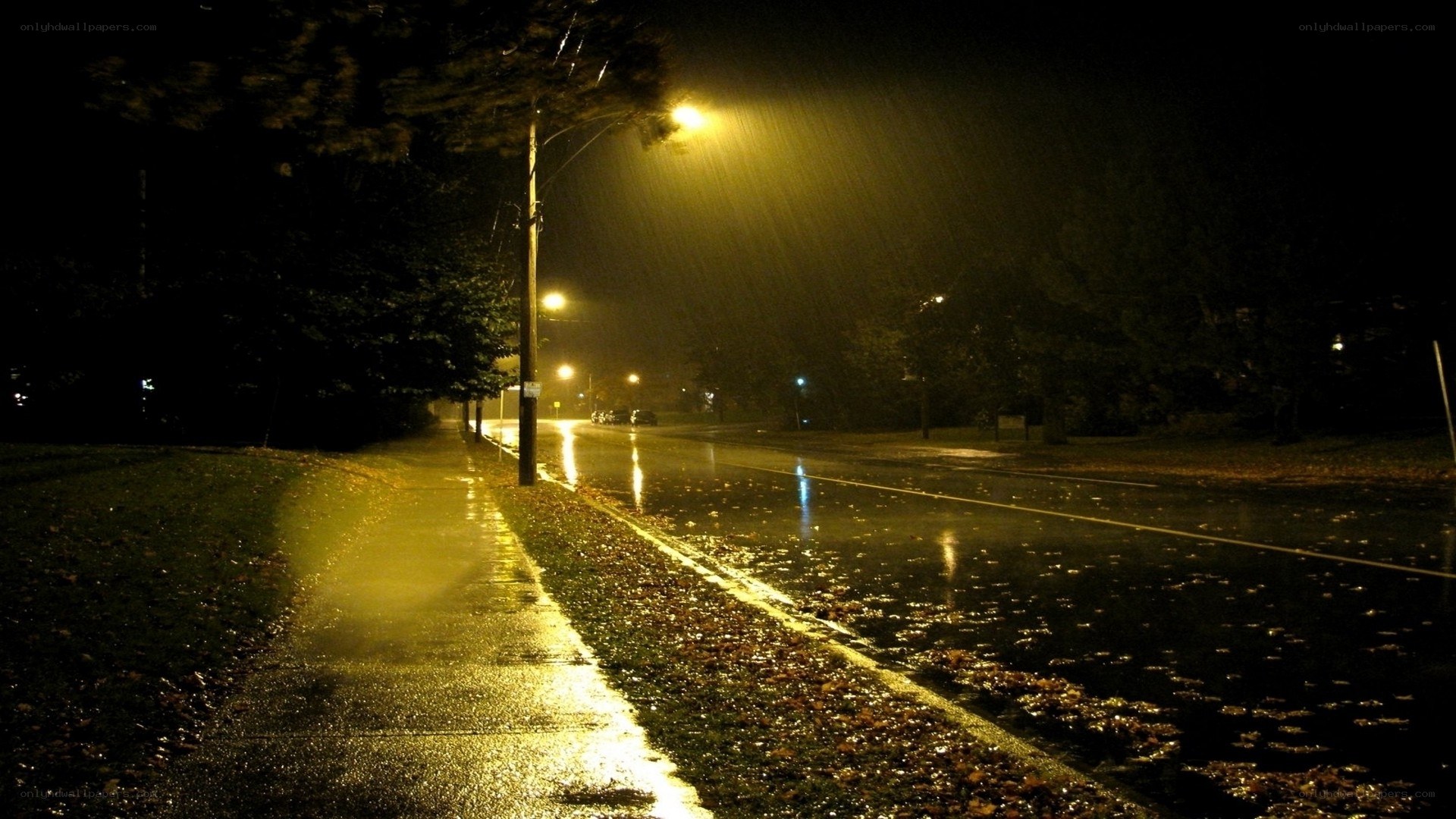 rainy night street scene