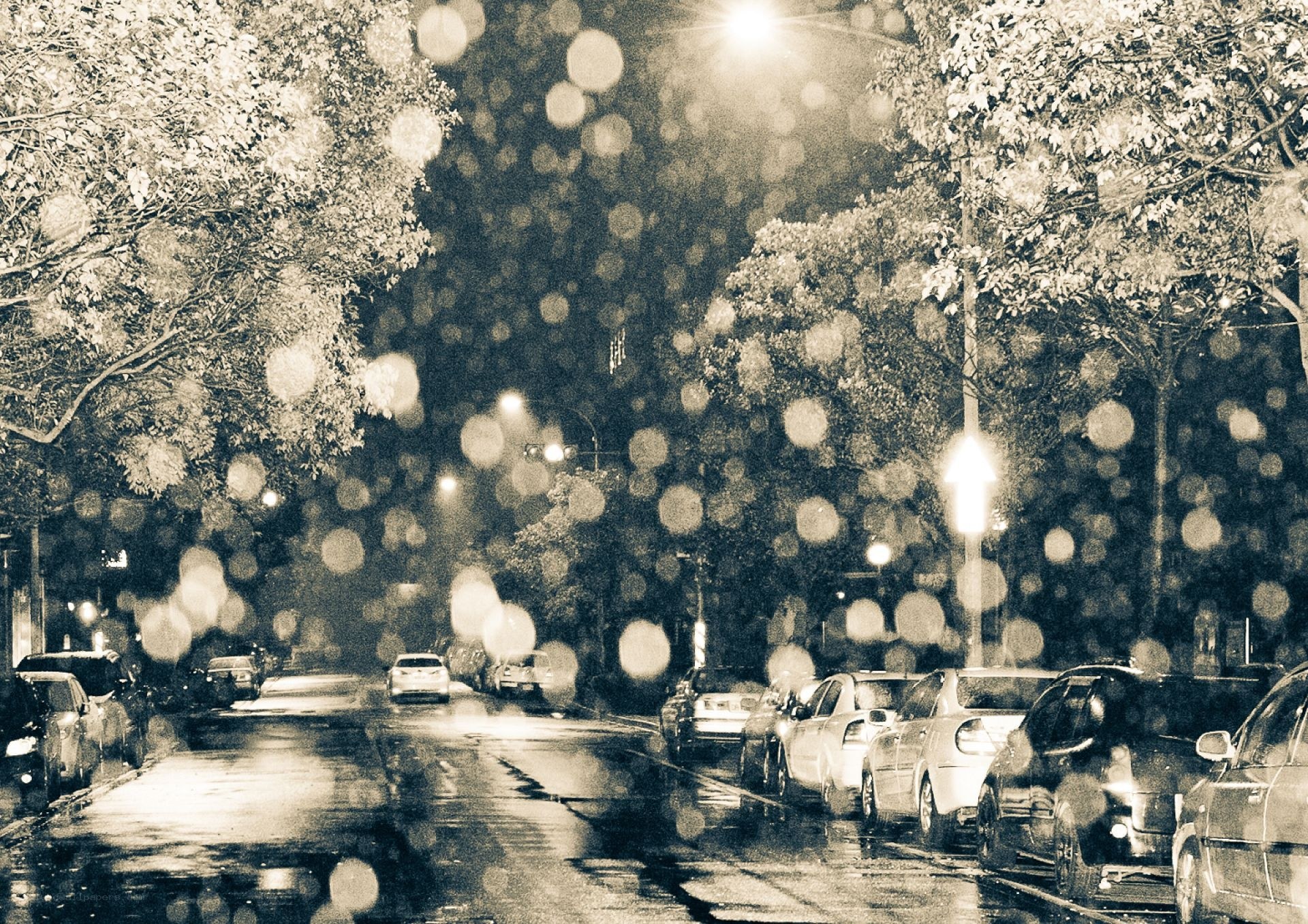 Rainy Night Street Scene
