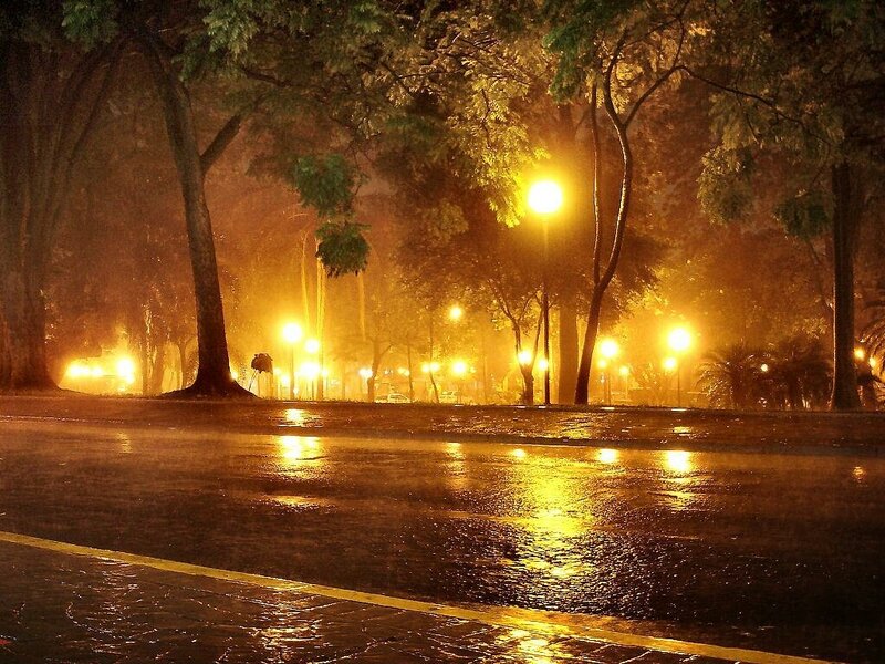 Rainy night street with lights