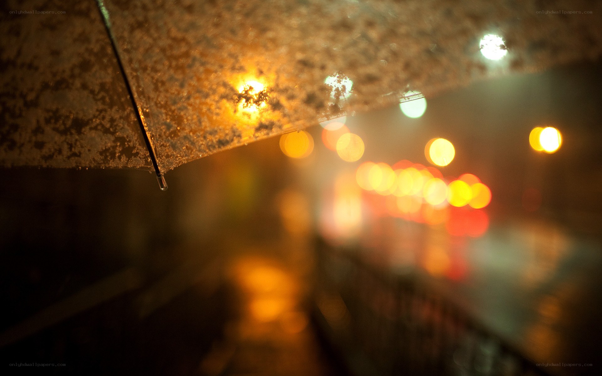 rainy night under an umbrella