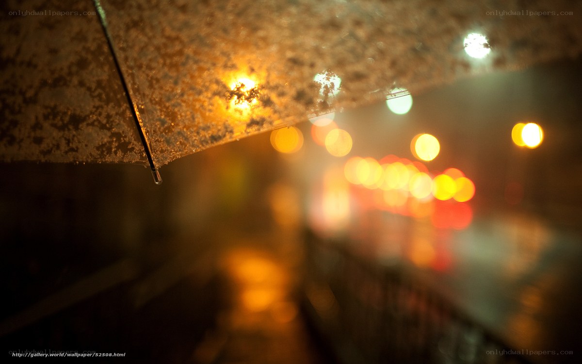 Rainy night under an umbrella