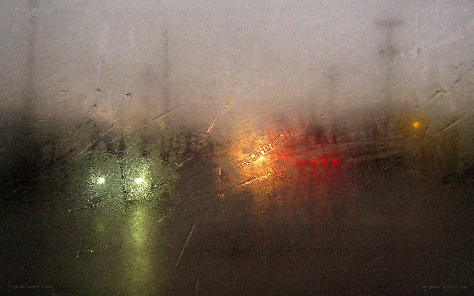 Rainy night view from car window