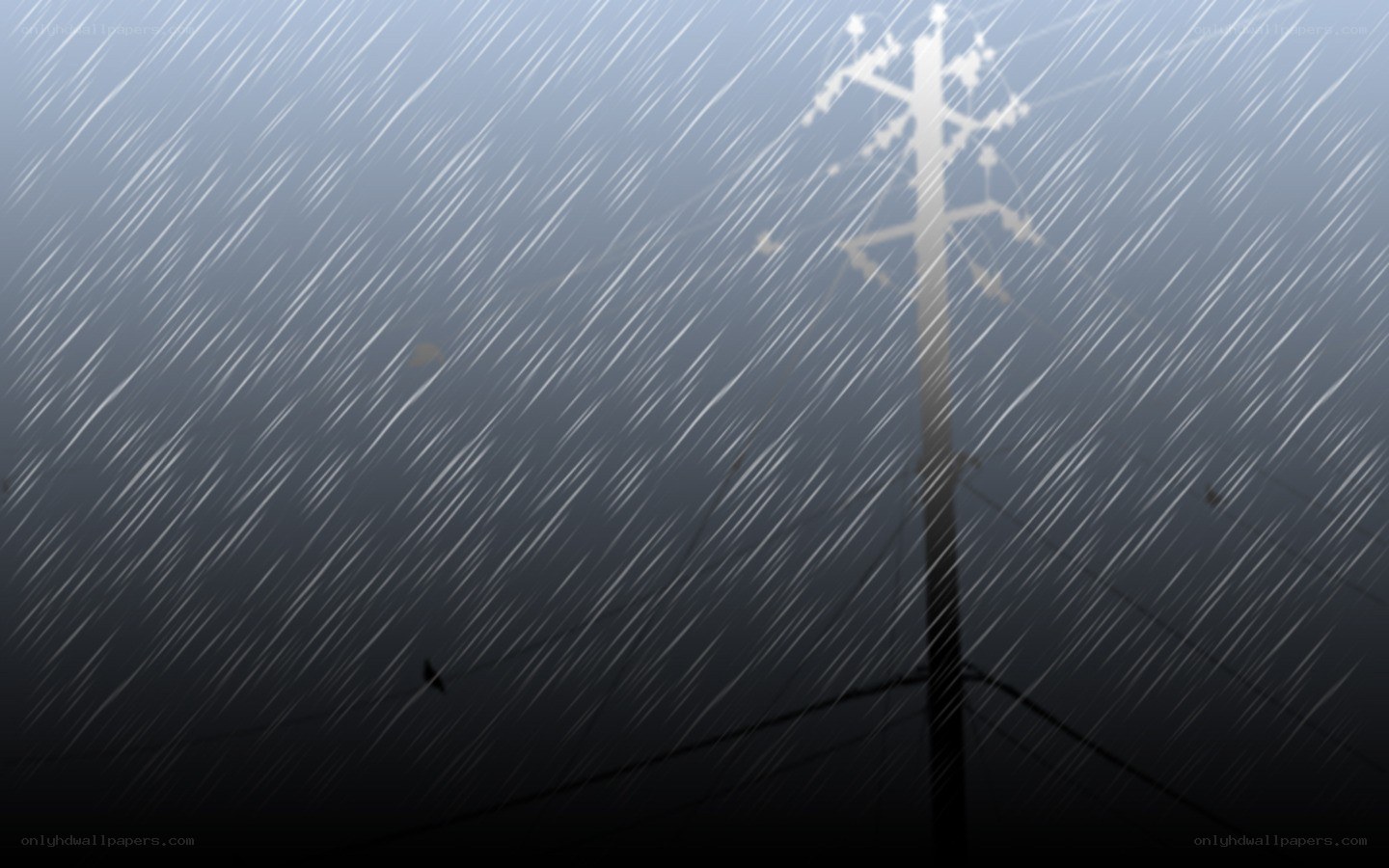Rainy night with utility pole