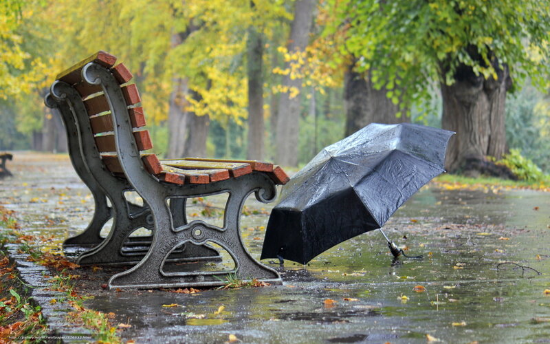 Rainy park bench with umbrella