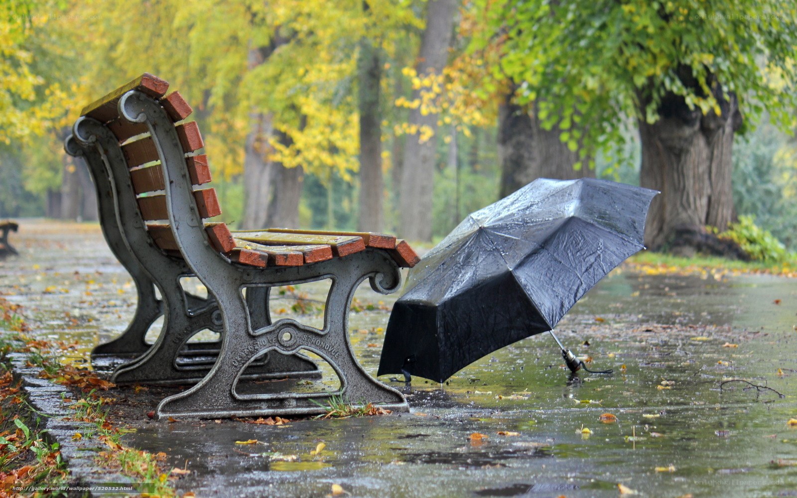Rainy park bench with umbrella