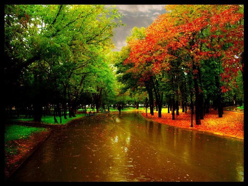 Rainy Park Path — Green, Dramatic