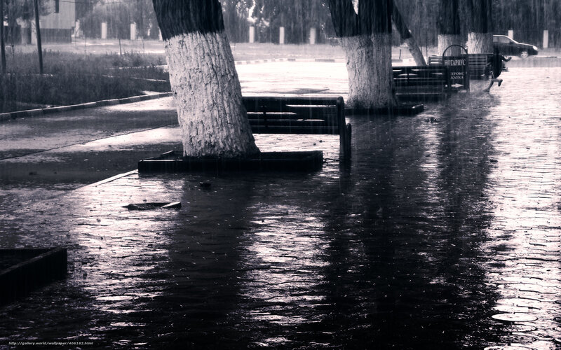Rainy Park Scene