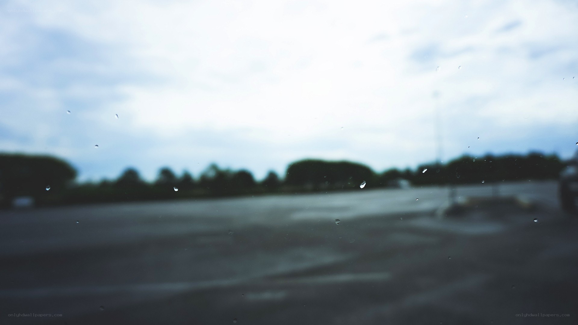 rainy parking lot view