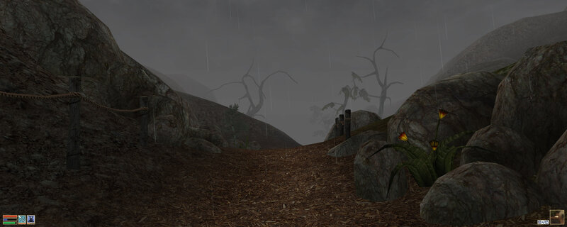rainy path in a rocky valley
