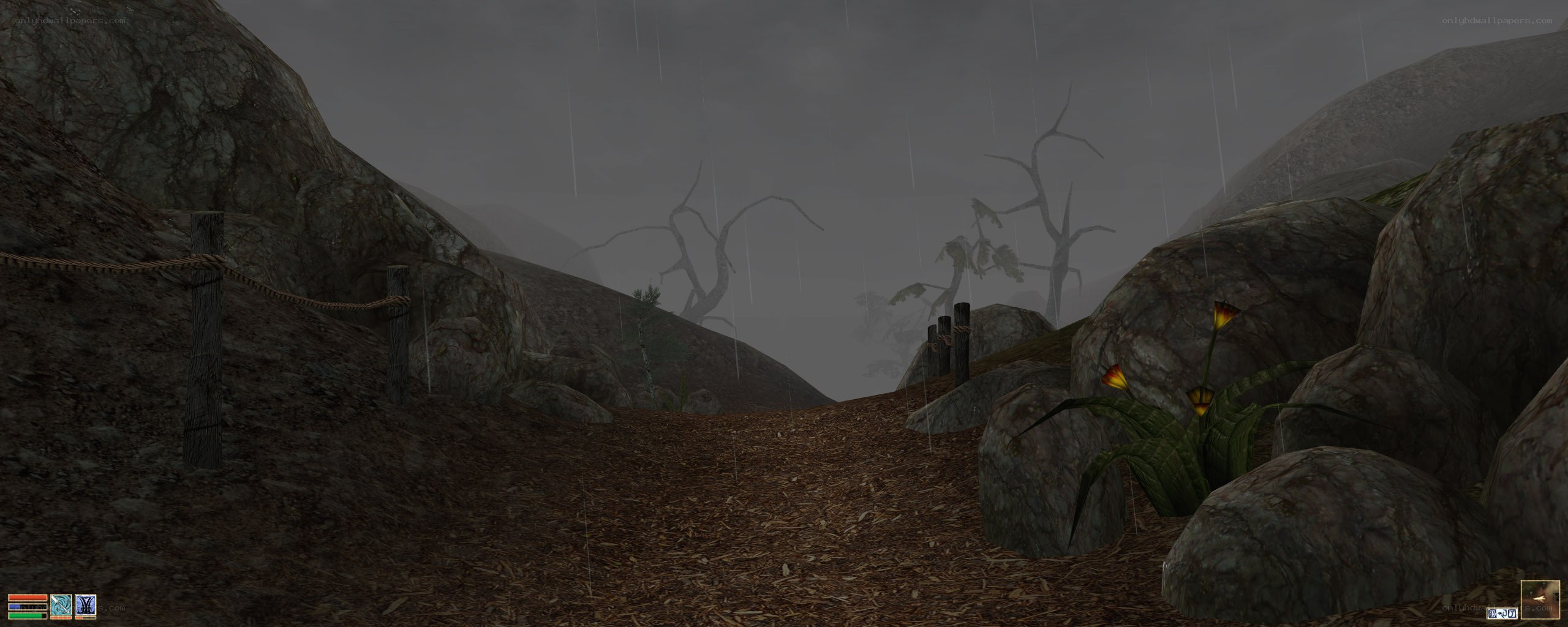 rainy path in a rocky valley