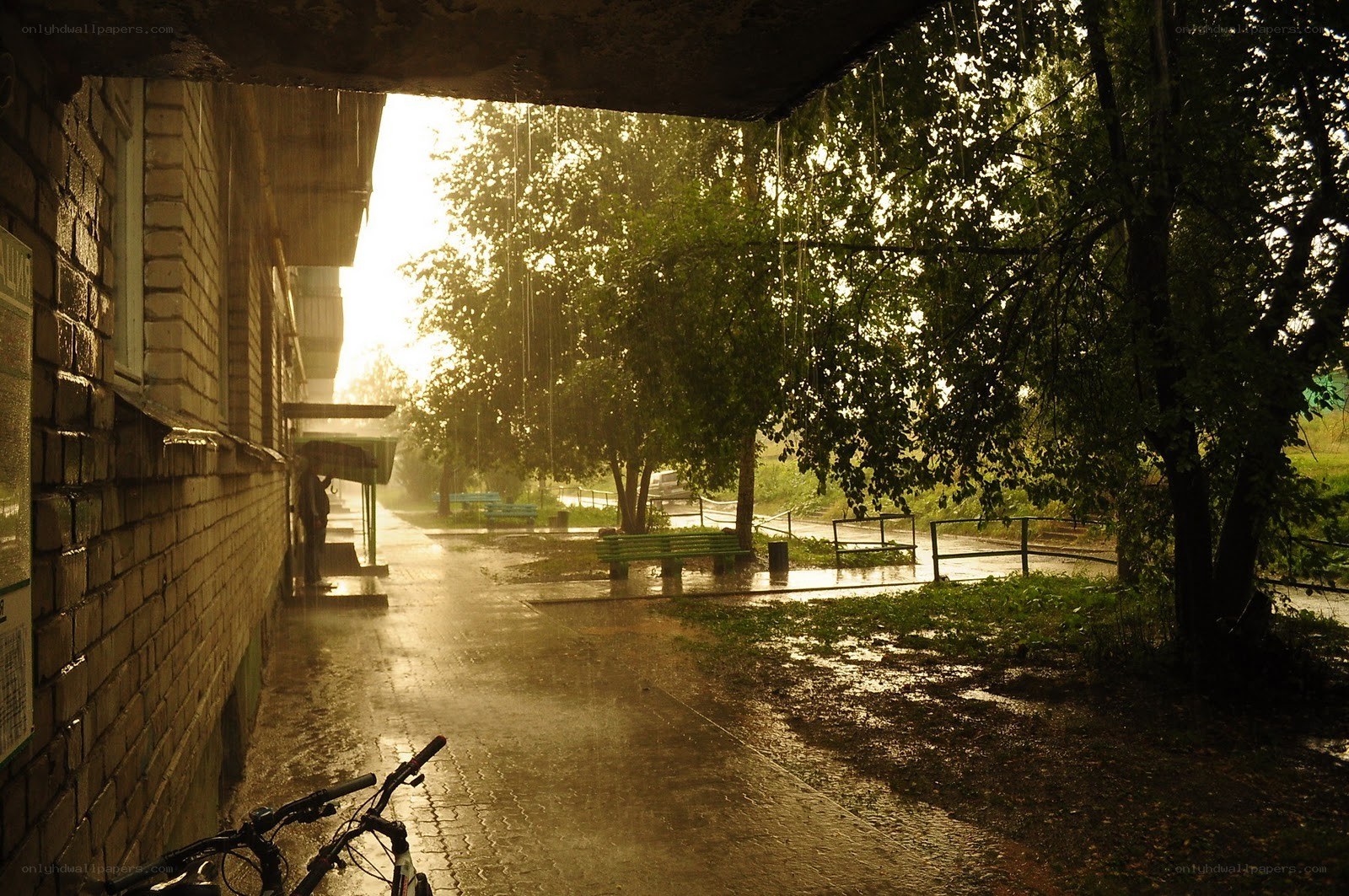 Rainy path under a building